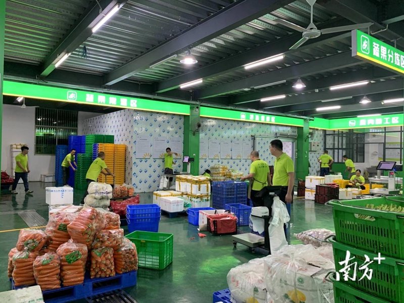 如何顺利获取餐饮服务许可证？——上海颂瑁餐饮管理有限公司经验分享