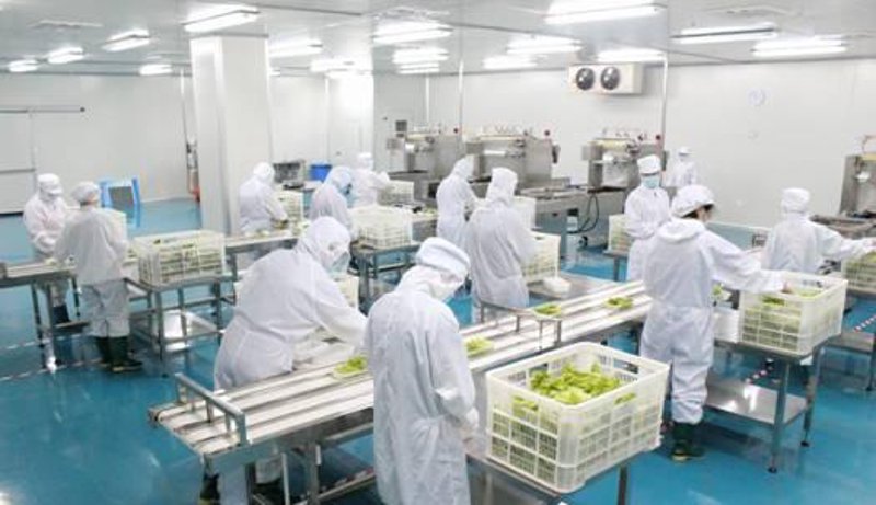 了解并实施《餐饮服务食品安全监督管理办法》,对保障食品卫生安全至关重要。本文将通过步骤化教学,帮助餐饮从业人员更好地理解和执行相关规定。